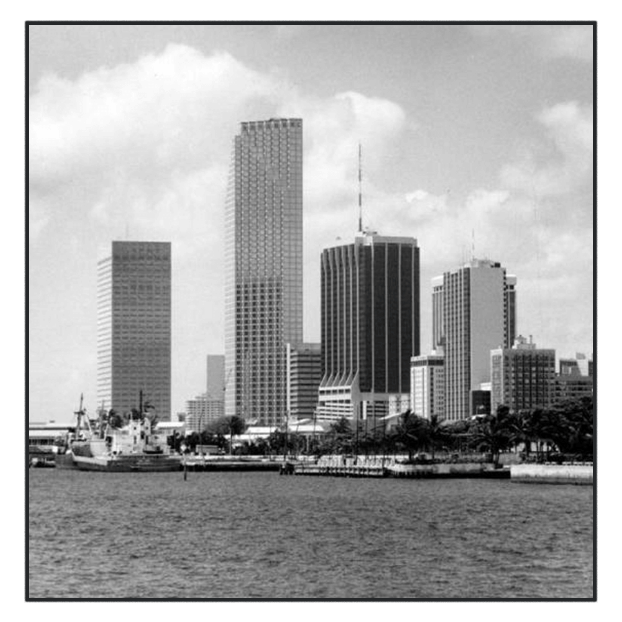 a black and white image of downtown miami, fl