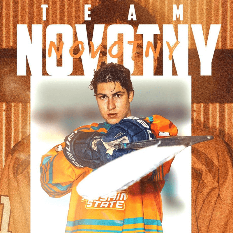 graphic design of hockey players