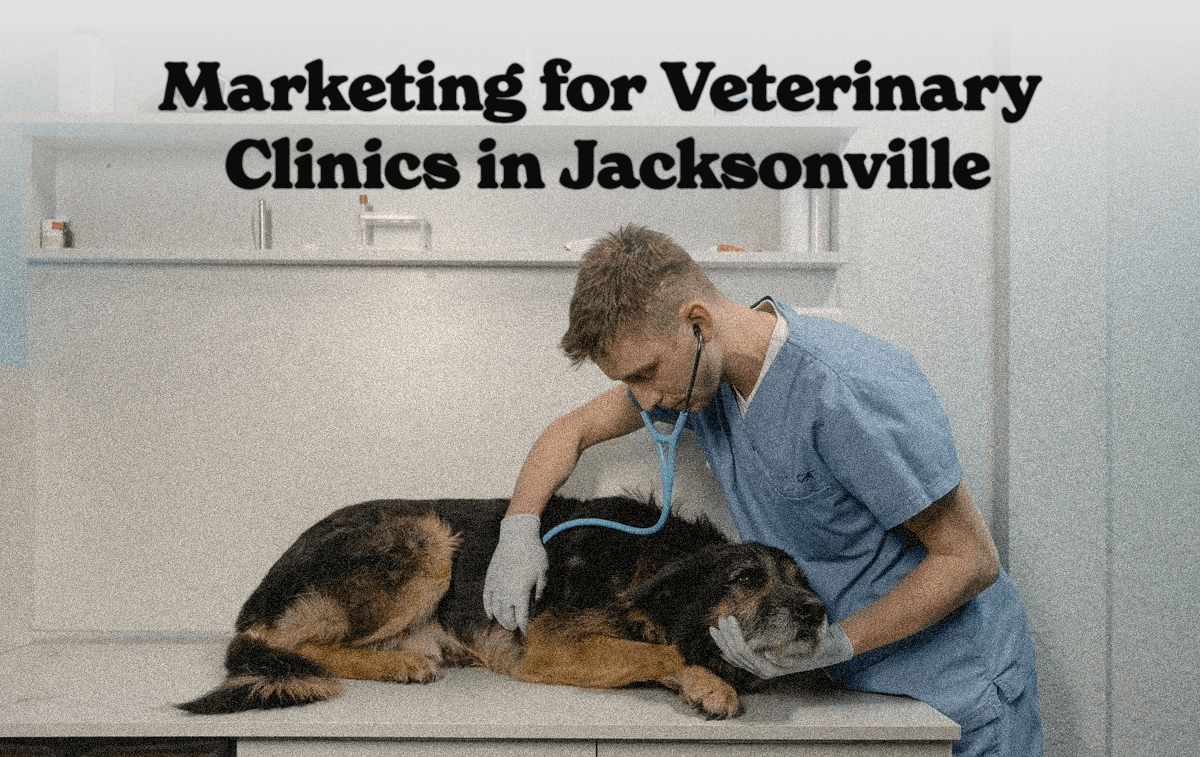 Marketing for Veterinary Clinics in Jacksonville A veterinarian in a clinical setting checks on a day who is laying down, there's text on screen of marketing for veterinary clinics in Jacksonville